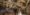 sistine-chapel